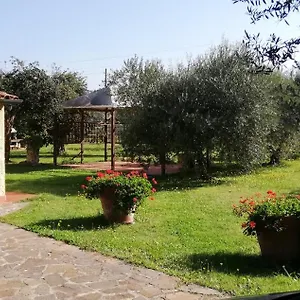  Villa 3 Km Dal Mare